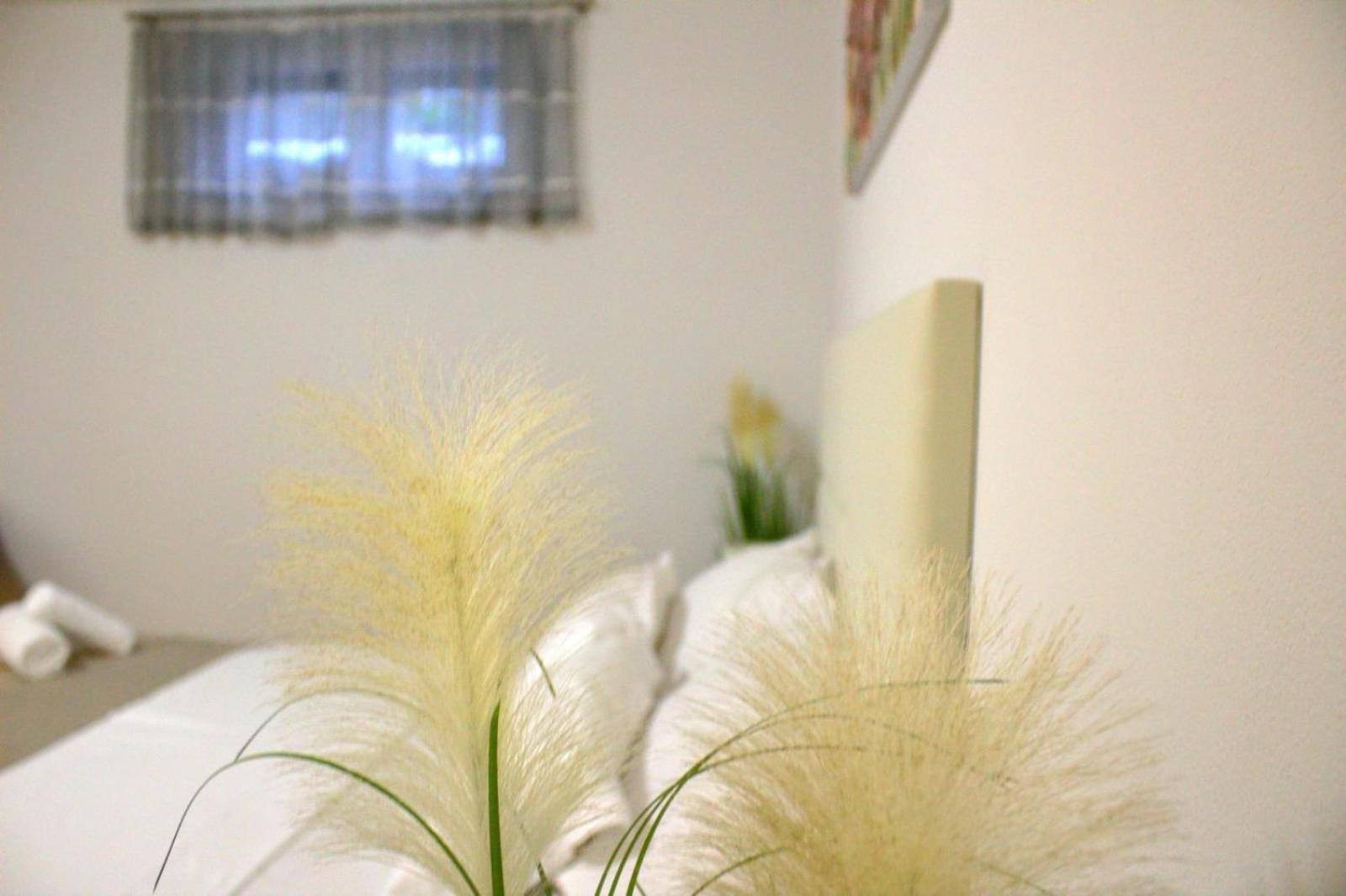 Apartment Danijela Zadar Ngoại thất bức ảnh