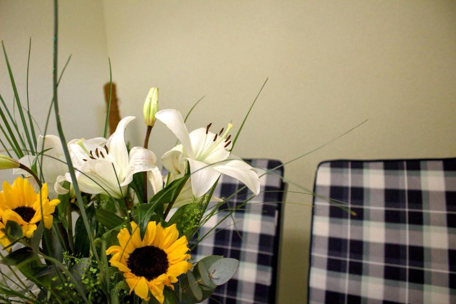 Apartment Danijela Zadar Ngoại thất bức ảnh