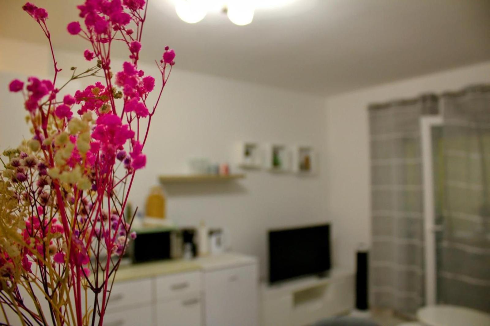Apartment Danijela Zadar Ngoại thất bức ảnh